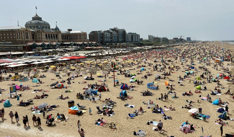 Summer in The Hague: Where to Go, Eat, and Explore
