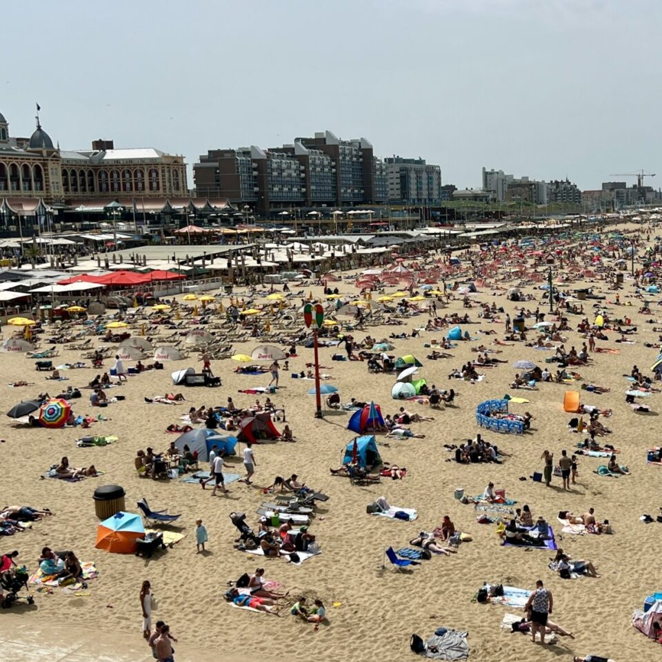 Summer in The Hague: Where to Go, Eat, and Explore