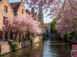 Picturesque canal view in Bruges, Belgium, with blooming pink cherry blossom trees framing medieval architecture.